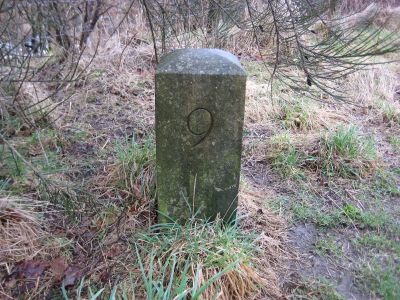 9.0 Miles from Falkirk - New Stone